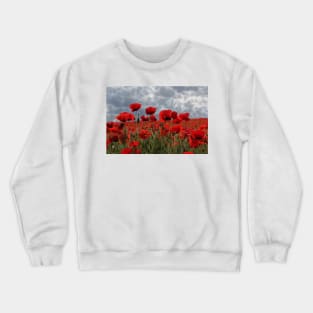 bright red glowing poppy in a field of wild uncultivated flowers Crewneck Sweatshirt